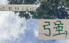 強(qiáng)觀大局！國安主帥輪換險(xiǎn)致敗，多樣陣容更勝一籌。