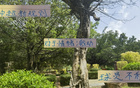 中超新規(guī)不利申花特謝拉，需調(diào)整隊長或增吳曦盯人。