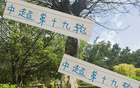 周末申花云南高原賽，阿蘇埃赤道南能否進(jìn)第四球？