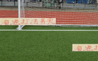 海港務(wù)實高效，申花攻守失衡。