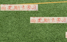 萊奧納多再勝河南，社交發(fā)文如海港8號(hào)奧斯卡。