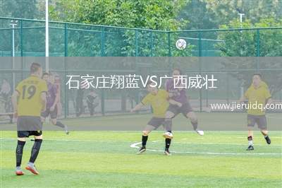 石家莊翔藍VS廣西威壯